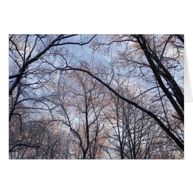 Matin d'hiver II Paysage naturel (Devant horizontal)