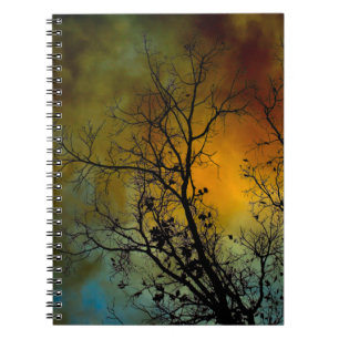 Matin orageux avec carnet arboré