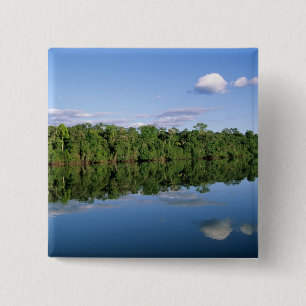 Mato Grosso Bundesstaat, Amazonas, Brasilien. Bewa Button