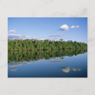 Mato Grosso Staat, Amazon, Brasilien. bewaldet Postkarte