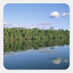 Mato Grosso Staat, Amazon, Brasilien. bewaldet Quadratischer Aufkleber