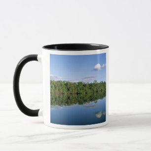 Mato Grosso Staat, Amazonien, Brasilien. Bewaldet Tasse