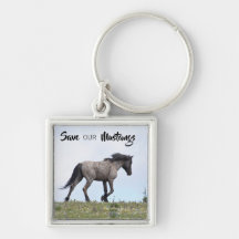 Mato Skas Entschlossenheit (Rett Unsere Mustangs) 