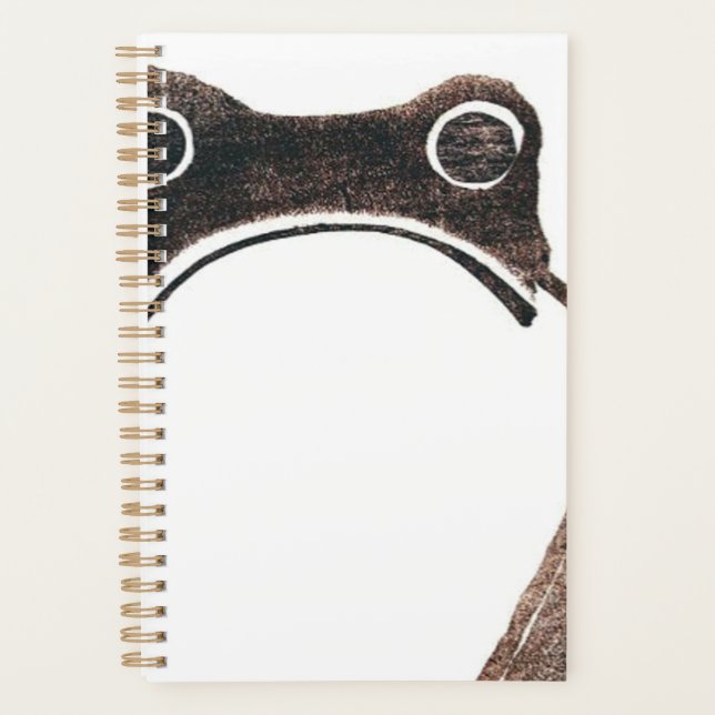 Matsumoto Hoji Frog Planer (Vorderseite)
