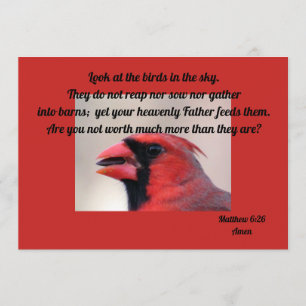 Matt 6: 26 Kardinal Grußkarte Karte