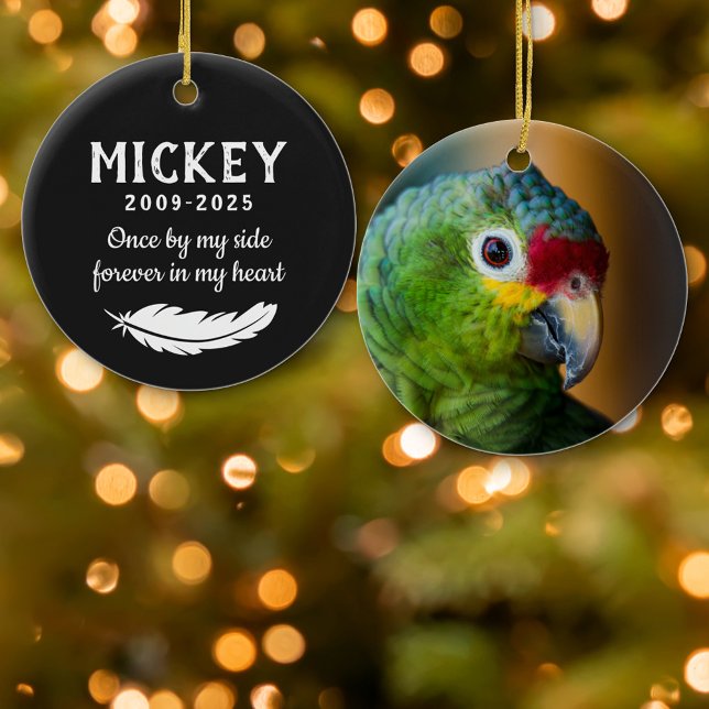 Matte Black Feather Foto Pet Bird Memorial Keramik Ornament (Von Creator hochgeladen)