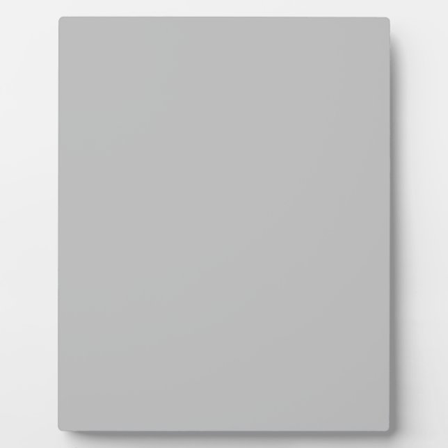 Matte Silver Fotoplatte (Vorderseite)