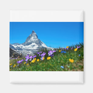 Matterhorn-Spitze im Frühjahr Magnet