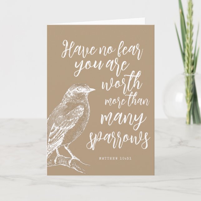 Matthew 10:31 JW Encouragement Bundle (Devant)