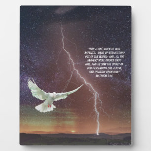 MATTHEW 3:16 FOTOPLATTE