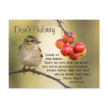Matthew 6:26 Bibelverse, keine Sorge