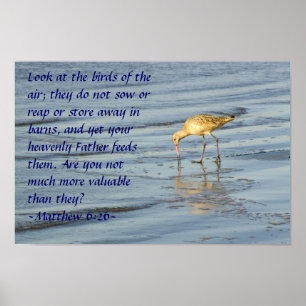 Matthew 6:26 Poster