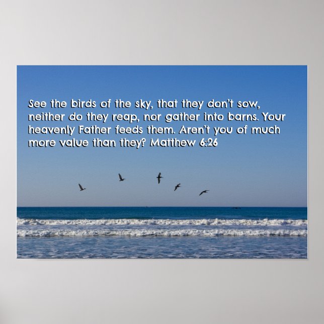 Matthew 6:26 poster (Vorne)
