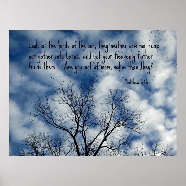 Matthew 6:26 Schauen Sie sich die Vögel der Luft a Poster (Vorne)