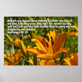 Matthew 6:28-29 poster