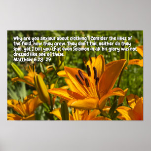 Matthew 6:28-29 poster