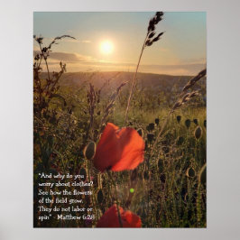 Matthew 6:28 Poppies bei Sonnenuntergang Poster