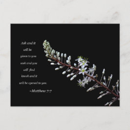 Matthew 7:7 weiße Blüte Postkarte