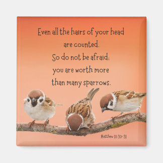 Matthieu 10:30-31 2" Magnet