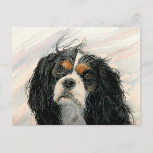 Mattie der König Charles Cavalier Spaniel Postkarte