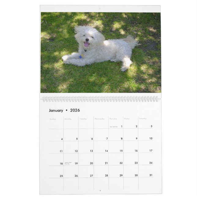 Mattie und Freunde Kalender (Jan 2026)