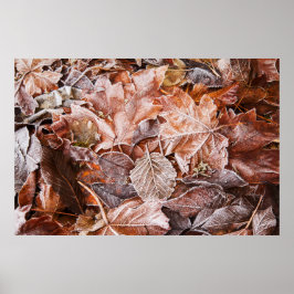 Mattiert Maple Blätter Poster