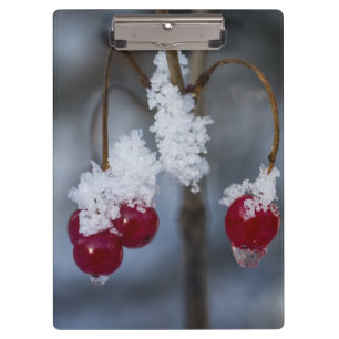 Mattierte Berries Klemmbrett