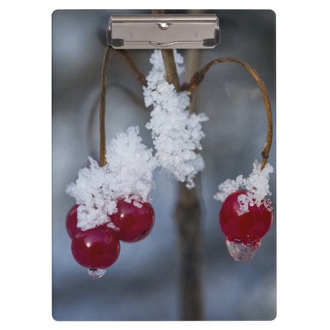 Mattierte Berries Klemmbrett (Vorderseite)