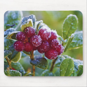 Mattierte Longonbeeren Mousepad