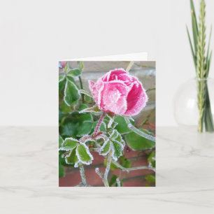 Mattierte Rose Blindkarte Karte