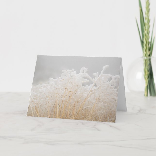 Mattierte Wintergras Karte (Vorderseite)