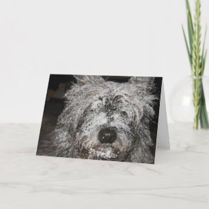 Mattierter Cairn Feiertagskarte