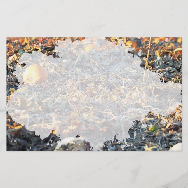 Mattierter Pumpkin-Patch Briefpapier (Vorderseite)