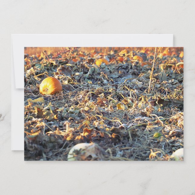 Mattierter Pumpkin-Patch Einladung (Vorderseite)