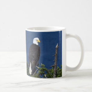 Mature Bald Eagle auf Tannenbaum Kaffeetasse