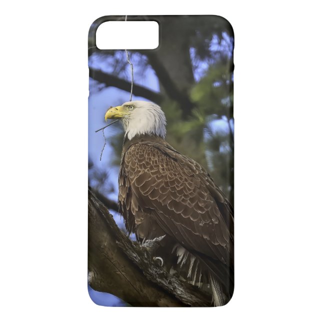 Mature Bald Eagle Case-Mate iPhone Hülle (Rückseite)