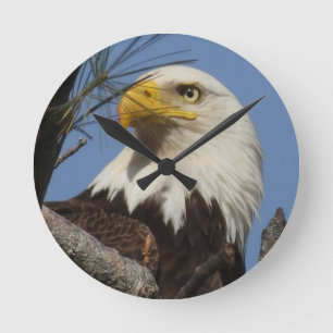 Mature Bald Eagle Close Up Head Runde Wanduhr