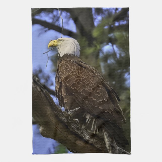 Mature Bald Eagle Geschirrtuch (Vertikal)