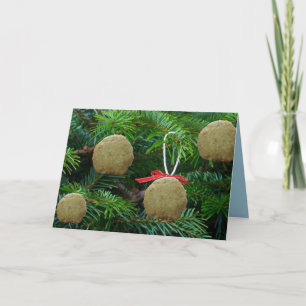 Matzoh-Ball-Verzierungen auf Weihnachtsbaum - Feiertagskarte
