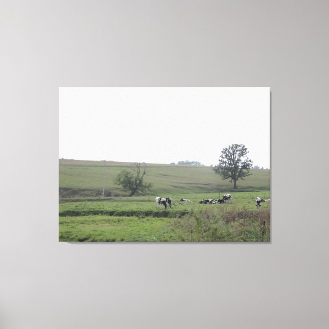 Mauer der Fotografie von Milchkühen im Mittleren W Leinwanddruck (Vorderseite)