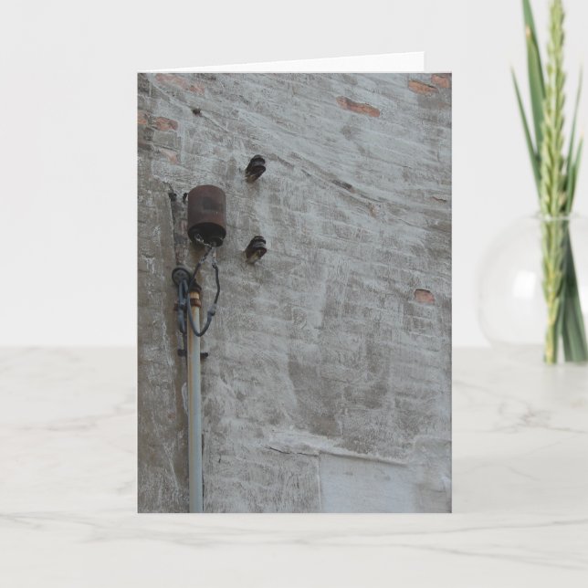 Mauer Karte (Vorderseite)