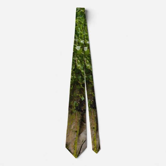 Mauer von Ivy Neck Tie Krawatte (Vorderseite)