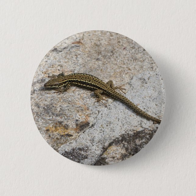 Mauereidechse Button (Vorderseite)