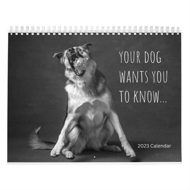 Mauerkalender 2023 - Hunde Humor Kalender (Titelbild)