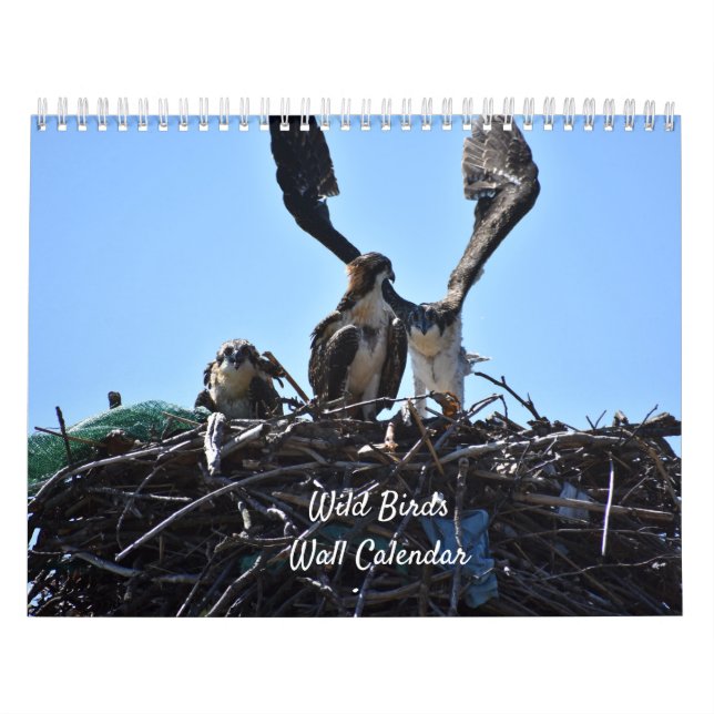 Mauerkalender für wild lebende Vogelarten Kalender (Titelbild)