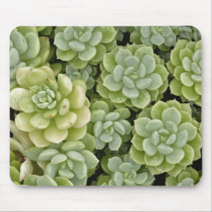 Mauerpfeffer-Pflanzenmuster Mousepad