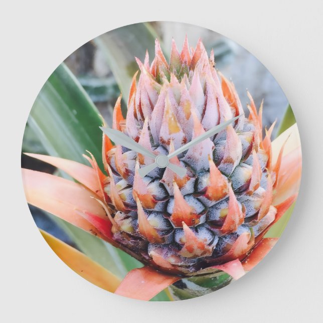 Maui Ananas Hawaii  Große Wanduhr (Vorderseite)