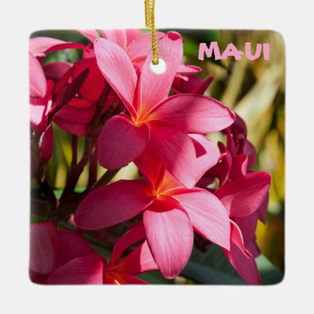 Maui, Blume Plumeria in Rosa und Weiß Keramikornament (Vorderseite)