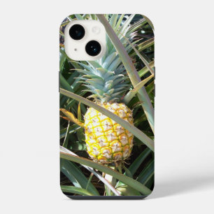 Maui Gold Hawaii Ananas iPhone 14 Fall Hülle