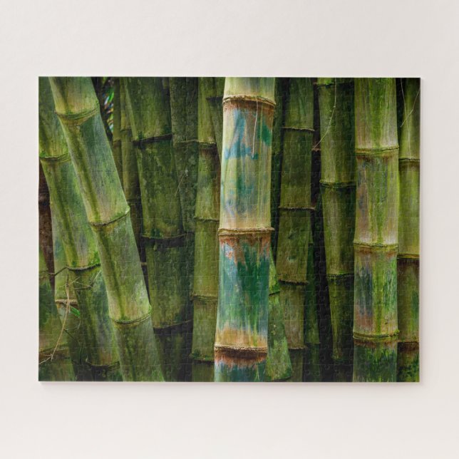 Maui, Hawaii, Bamboo Stalks Art (Horizontal)